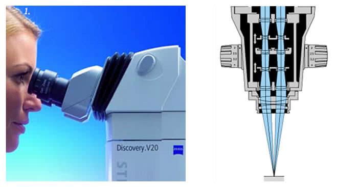 SteREO Discovery.V8 Discovery.V12 и Discovery.V20